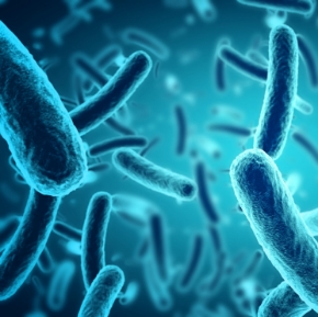 تصویر برای دسته  محصولات مبتنی بر میکروارگانیسم