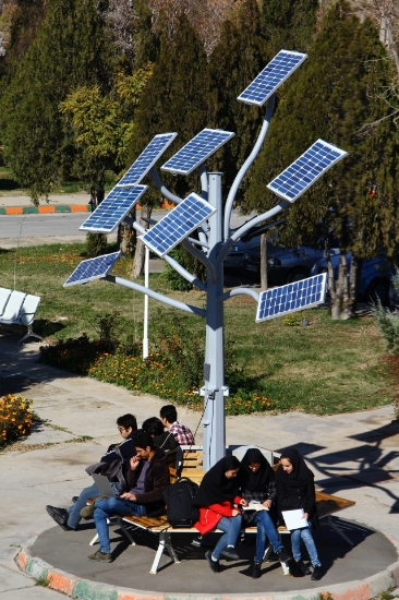 تصویر  درخت خورشیدی چندمنظوره