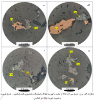 تصویر  کانه نگاری- مینرالوگرافی (مطالعه مقطع صیقلی)