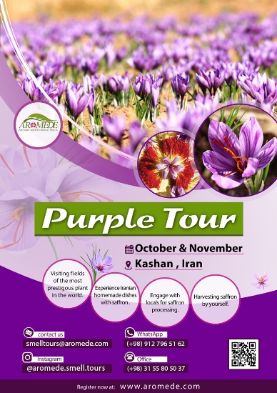 تصویر  سفر بنفش (Purple tour) - گردشگری تخصصی گیاهان دارویی و معطر با محوریت گیاه زعفران